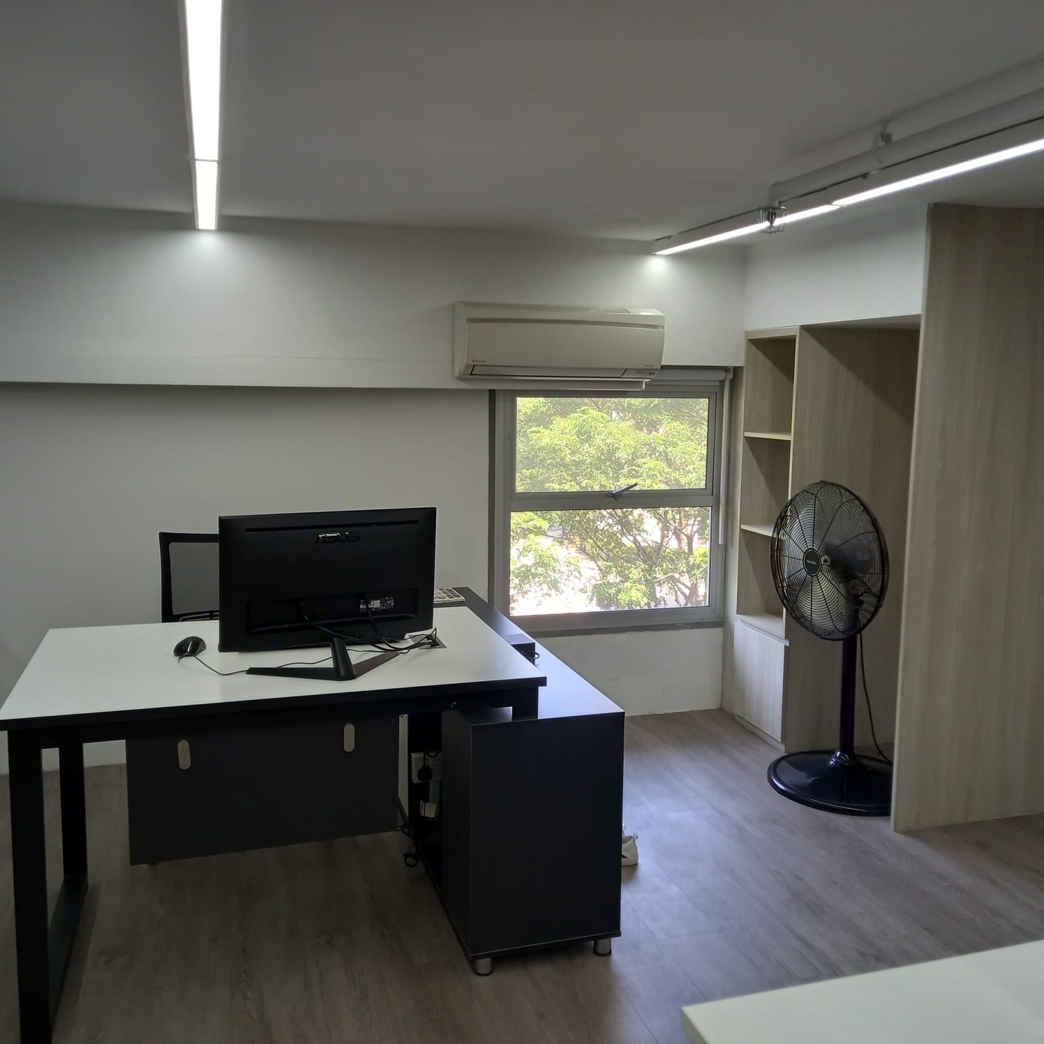 Commercial creative studio with biophilic plant partitions and open layout